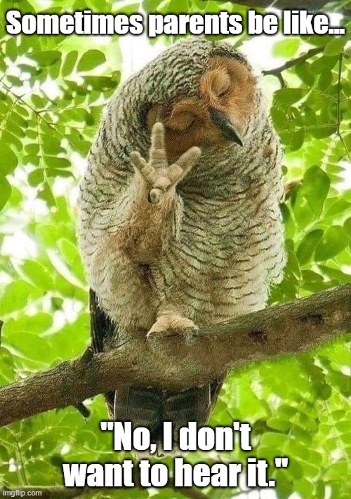 "NO" Owl | Sometimes parents be like... "No, I don't want to hear it." | image tagged in owl | made w/ Imgflip meme maker