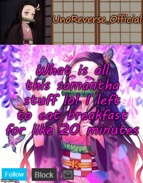 Uno's Nezuko Temp | What is all this samantha stuff lol I left to eat breakfast for like 20 minutes | image tagged in uno's nezuko temp | made w/ Imgflip meme maker