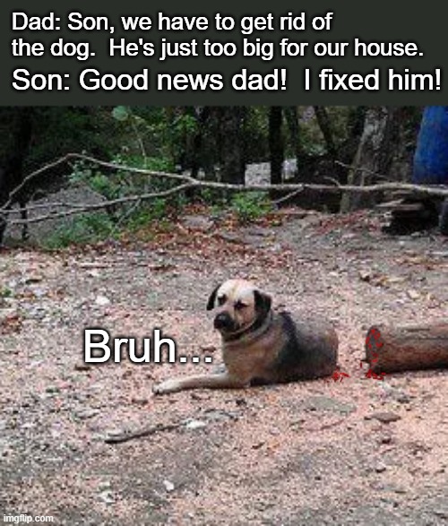 Dad: Son, we have to get rid of the dog.  He's just too big for our house. Son: Good news dad!  I fixed him! Bruh... | image tagged in dark humor | made w/ Imgflip meme maker