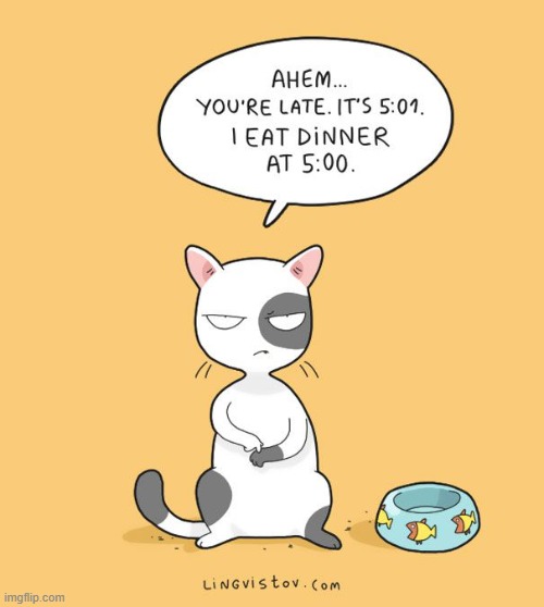 A Cat's Way Of Thinking | image tagged in memes,cats,thinking,dinner,time,too late | made w/ Imgflip meme maker