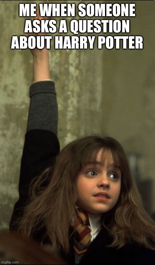 Hermione Granger | ME WHEN SOMEONE ASKS A QUESTION ABOUT HARRY POTTER | image tagged in hermione granger | made w/ Imgflip meme maker