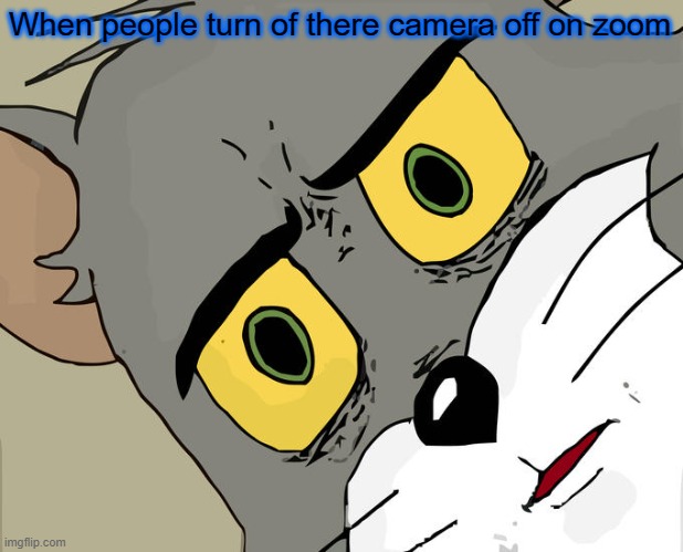 Unsettled Tom | When people turn of there camera off on zoom | image tagged in memes,unsettled tom | made w/ Imgflip meme maker