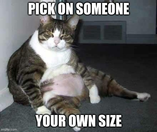 Fat cat | PICK ON SOMEONE; YOUR OWN SIZE | image tagged in fat cat | made w/ Imgflip meme maker