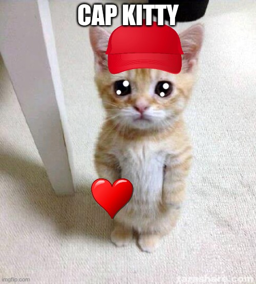 Cute Cat | CAP KITTY | image tagged in memes,cute cat | made w/ Imgflip meme maker