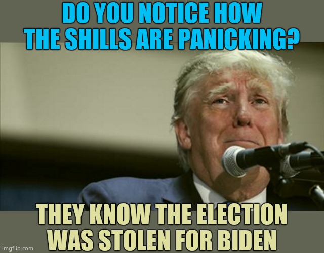 The shills are desperate. All they  do is lie. | DO YOU NOTICE HOW THE SHILLS ARE PANICKING? THEY KNOW THE ELECTION WAS STOLEN FOR BIDEN | image tagged in trump tears at the microphone | made w/ Imgflip meme maker