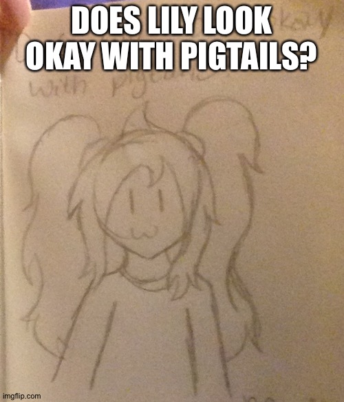 E | DOES LILY LOOK OKAY WITH PIGTAILS? | made w/ Imgflip meme maker
