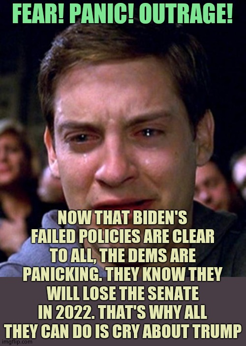 Donald Trump. That's all the dems have! They can't stand behind Bidens failures | FEAR! PANIC! OUTRAGE! NOW THAT BIDEN'S FAILED POLICIES ARE CLEAR TO ALL, THE DEMS ARE PANICKING. THEY KNOW THEY WILL LOSE THE SENATE IN 2022. THAT'S WHY ALL THEY CAN DO IS CRY ABOUT TRUMP | image tagged in crying peter parker | made w/ Imgflip meme maker