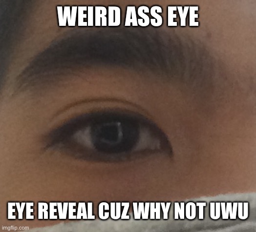 UwU my eyes are shiny | WEIRD ASS EYE; EYE REVEAL CUZ WHY NOT UWU | made w/ Imgflip meme maker