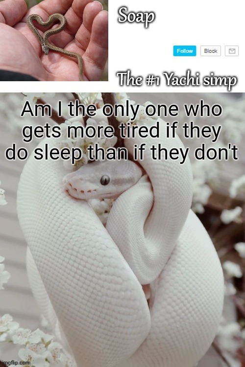 Am I the only one who gets more tired if they do sleep than if they don't | image tagged in soap snake temp ty yachi | made w/ Imgflip meme maker