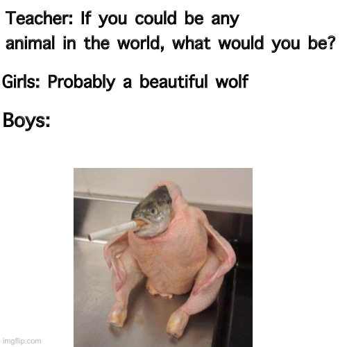 Boys vs Girls | Teacher: If you could be any animal in the world, what would you be? Girls: Probably a beautiful wolf; Boys: | image tagged in fish smoking in chicken | made w/ Imgflip meme maker