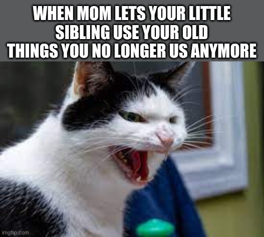WHEN MOM LETS YOUR LITTLE SIBLING USE YOUR OLD THINGS YOU NO LONGER US ANYMORE | image tagged in angry cat | made w/ Imgflip meme maker