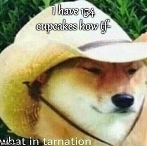 What in tarnation dog | I have 154 cupcakes how tf- | image tagged in what in tarnation dog | made w/ Imgflip meme maker