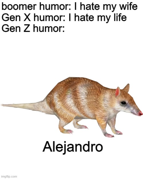 Alejandro | boomer humor: I hate my wife
Gen X humor: I hate my life
Gen Z humor:; Alejandro | image tagged in memes,mongoose,gen z,boomer,gen x | made w/ Imgflip meme maker