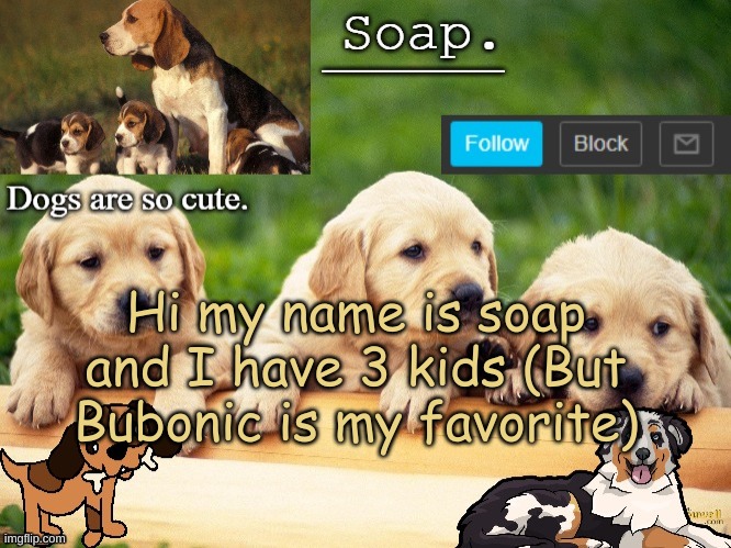 Soap doggo temp | Hi my name is soap and I have 3 kids (But Bubonic is my favorite) | image tagged in soap doggo temp ty yachi | made w/ Imgflip meme maker