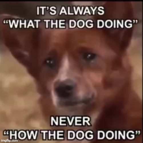 . | image tagged in e | made w/ Imgflip meme maker