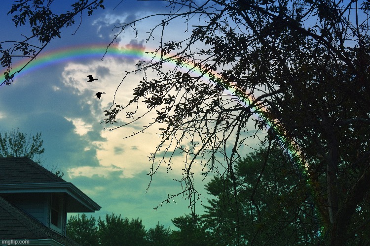 this morning right after a storm | image tagged in rainbow,kewlew | made w/ Imgflip meme maker