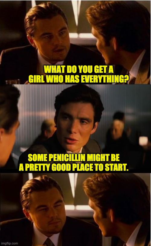 She has everything | WHAT DO YOU GET A GIRL WHO HAS EVERYTHING? SOME PENICILLIN MIGHT BE A PRETTY GOOD PLACE TO START. | image tagged in memes,inception | made w/ Imgflip meme maker