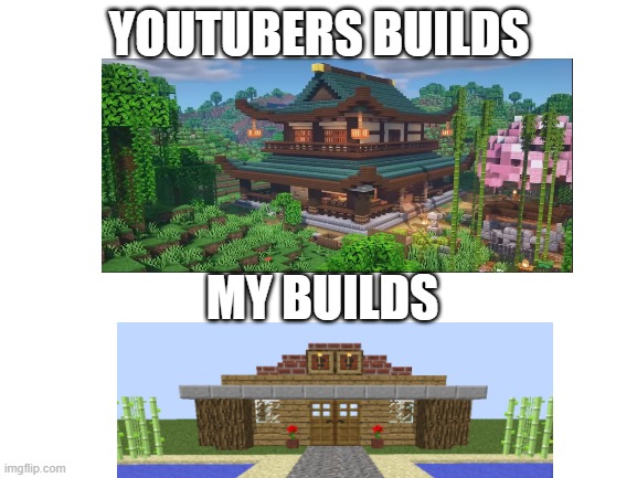 How are they so good at building? | YOUTUBERS BUILDS; MY BUILDS | image tagged in blank white template | made w/ Imgflip meme maker