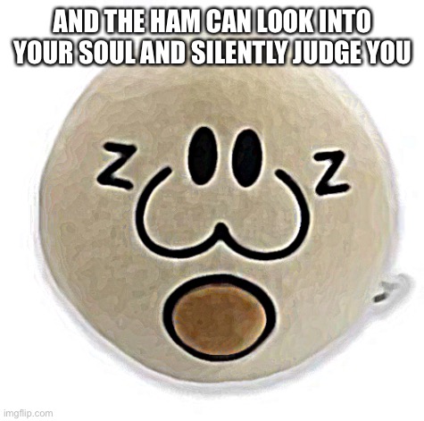 Like my new template? | AND THE HAM CAN LOOK INTO YOUR SOUL AND SILENTLY JUDGE YOU | image tagged in ham,cute animals | made w/ Imgflip meme maker