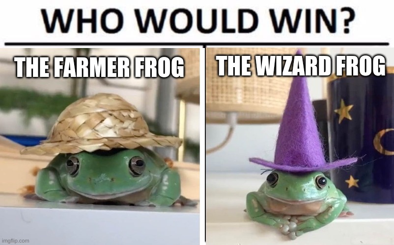 I Think The Farmer Would Win- |  THE FARMER FROG; THE WIZARD FROG | made w/ Imgflip meme maker