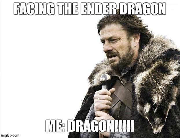 Brace Yourselves X is Coming | FACING THE ENDER DRAGON; ME: DRAGON!!!!! | image tagged in memes,brace yourselves x is coming | made w/ Imgflip meme maker
