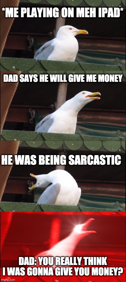 Inhaling Seagull | *ME PLAYING ON MEH IPAD*; DAD SAYS HE WILL GIVE ME MONEY; HE WAS BEING SARCASTIC; DAD: YOU REALLY THINK I WAS GONNA GIVE YOU MONEY? | image tagged in memes,inhaling seagull | made w/ Imgflip meme maker