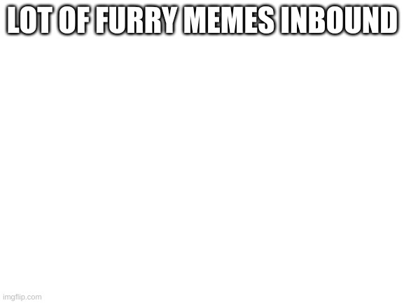 Blank White Template | LOT OF FURRY MEMES INBOUND | image tagged in blank white template | made w/ Imgflip meme maker