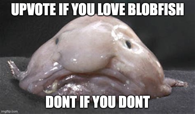 Blobfish! |  UPVOTE IF YOU LOVE BLOBFISH; DONT IF YOU DONT | image tagged in blobby the blobfish | made w/ Imgflip meme maker