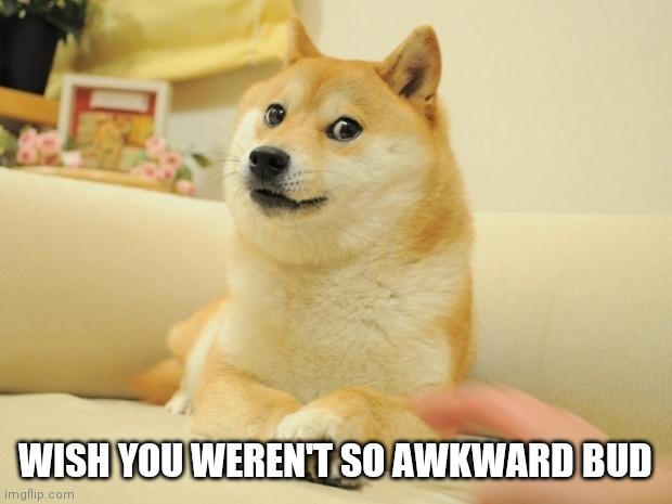 Doge 2 Meme | WISH YOU WEREN'T SO AWKWARD BUD | image tagged in memes,doge 2 | made w/ Imgflip meme maker