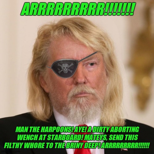 PirateTrump | ARRRRRRRRR!!!!!!! MAN THE HARPOONS! AYE! A DIRTY ABORTING WENCH AT STARBOARD! MATEYS, SEND THIS FILTHY WHORE TO THE BRINY DEEP! ARRRRRRRRR!! | image tagged in piratetrump | made w/ Imgflip meme maker