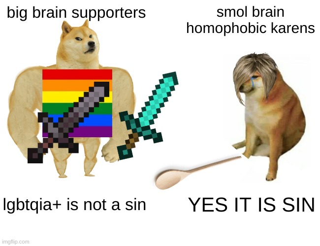 true doe | big brain supporters; smol brain homophobic karens; lgbtqia+ is not a sin; YES IT IS SIN | image tagged in memes,buff doge vs cheems | made w/ Imgflip meme maker