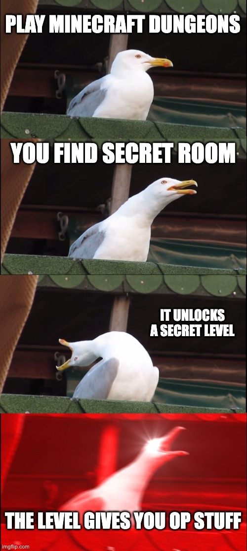 Inhaling Seagull | PLAY MINECRAFT DUNGEONS; YOU FIND SECRET ROOM; IT UNLOCKS A SECRET LEVEL; THE LEVEL GIVES YOU OP STUFF | image tagged in memes,inhaling seagull | made w/ Imgflip meme maker