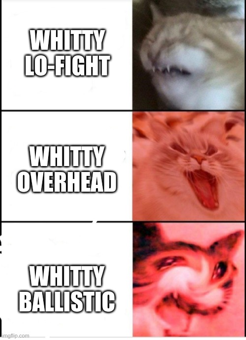 Screaming cats | WHITTY LO-FIGHT; WHITTY OVERHEAD; WHITTY BALLISTIC | image tagged in screaming cats | made w/ Imgflip meme maker