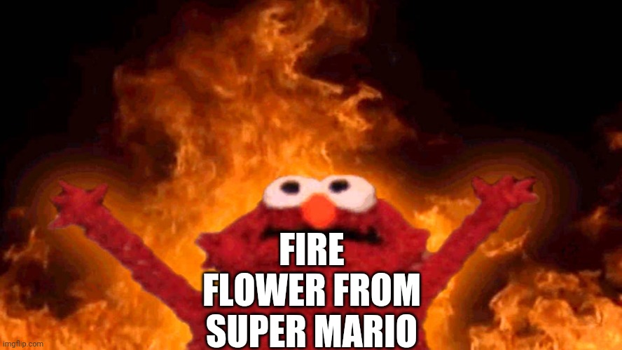 elmo fire | FIRE FLOWER FROM SUPER MARIO | image tagged in elmo fire | made w/ Imgflip meme maker