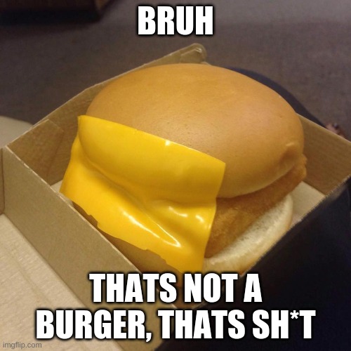 You had ONE job | BRUH; THATS NOT A BURGER, THATS SH*T | image tagged in you had one job | made w/ Imgflip meme maker
