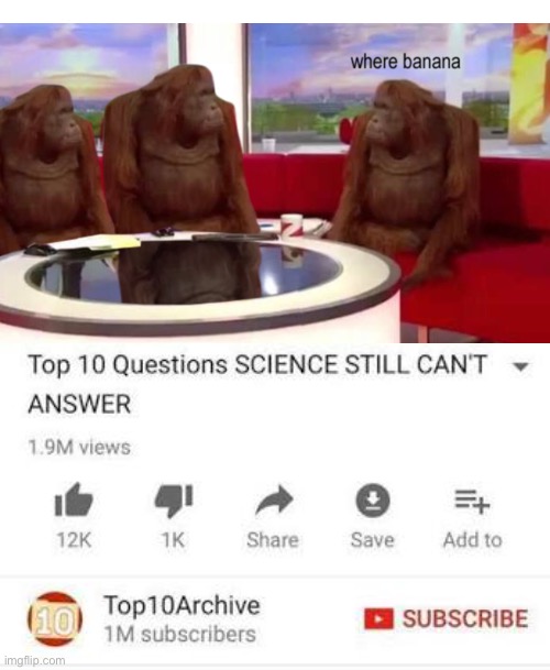 Top 10 questions Science still can't answer | image tagged in top 10 questions science still can't answer,where banana | made w/ Imgflip meme maker