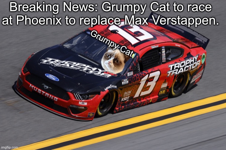 She doesn’t care. | Breaking News: Grumpy Cat to race at Phoenix to replace Max Verstappen. Grumpy Cat | image tagged in grumpy cat,memes,nascar,nmcs | made w/ Imgflip meme maker