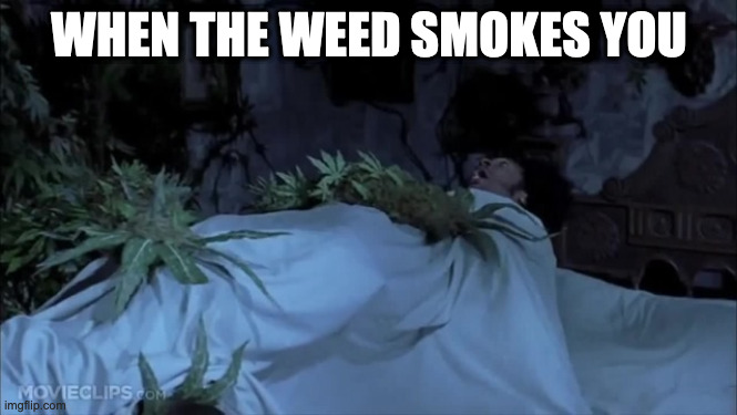 WHEN THE WEED SMOKES YOU | made w/ Imgflip meme maker