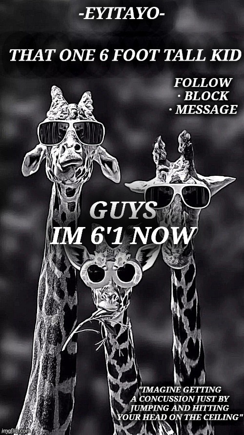 eyitayos giraffe temp | GUYS IM 6'1 NOW | image tagged in eyitayos giraffe temp | made w/ Imgflip meme maker