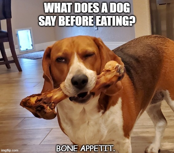 Daily Bad Dad Joke June 18 2021 | WHAT DOES A DOG SAY BEFORE EATING? BONE APPETIT. | image tagged in dog bone | made w/ Imgflip meme maker