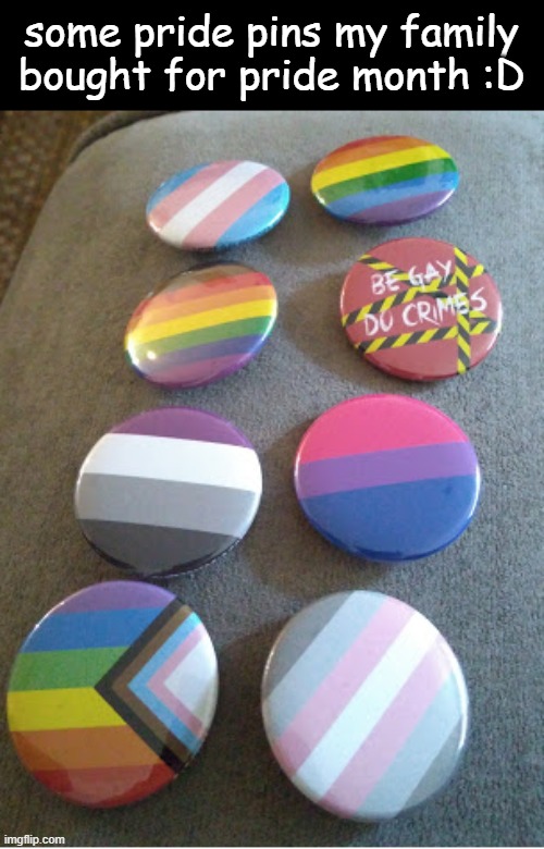 pins | some pride pins my family bought for pride month :D | image tagged in pride,lgbtq | made w/ Imgflip meme maker