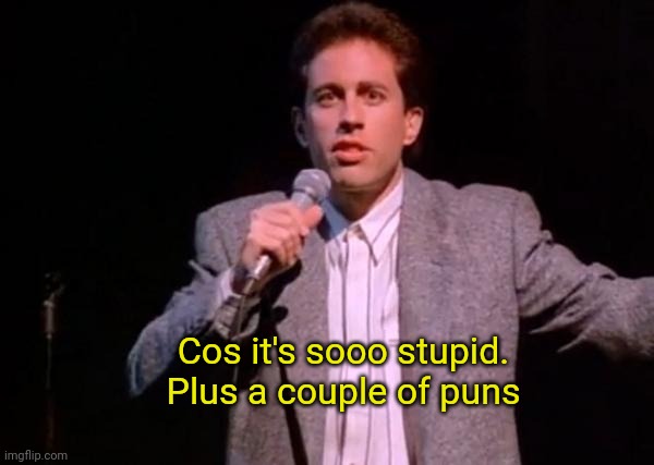 seinfeld because its so stupid | Cos it's sooo stupid. Plus a couple of puns | image tagged in seinfeld because its so stupid | made w/ Imgflip meme maker