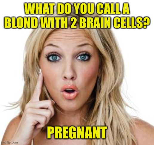 Let’s do some blond jokes | WHAT DO YOU CALL A BLOND WITH 2 BRAIN CELLS? PREGNANT | image tagged in dumb blonde | made w/ Imgflip meme maker