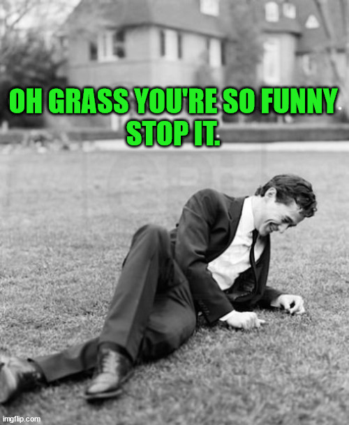 OH GRASS YOU'RE SO FUNNY
STOP IT. | image tagged in funny | made w/ Imgflip meme maker