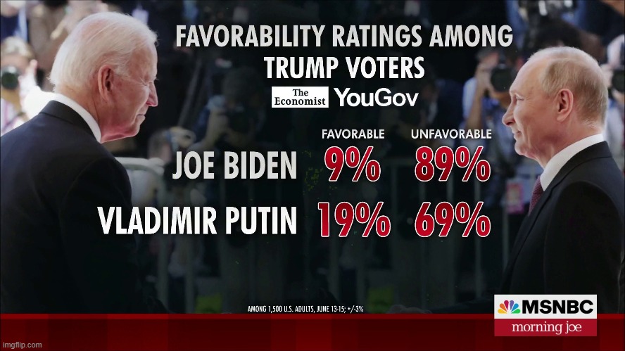 Favorability Ratings Among Trump Voters | image tagged in politics,memes | made w/ Imgflip meme maker