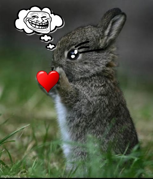 Cute Bunny | image tagged in cute bunny | made w/ Imgflip meme maker