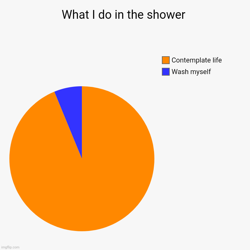 Shower | What I do in the shower | Wash myself, Contemplate life | image tagged in charts,pie charts,shower,shower thoughts | made w/ Imgflip chart maker