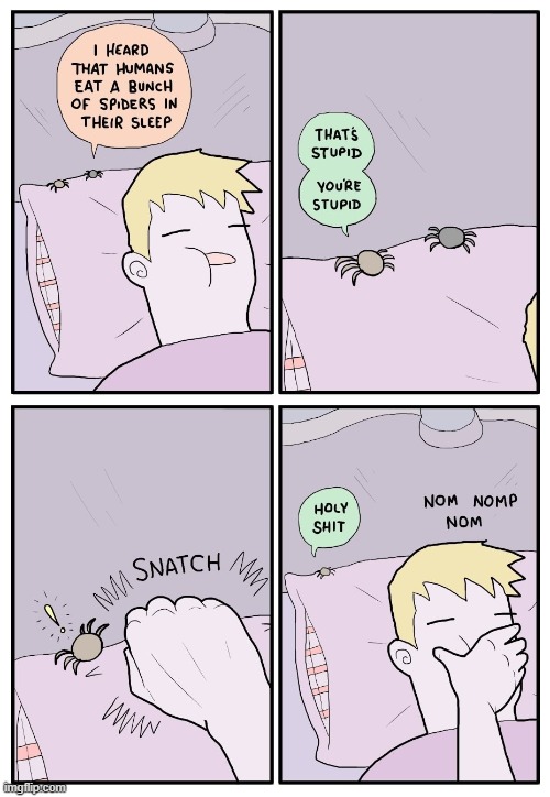 So true | image tagged in comics,spiders,haha,funny,memes | made w/ Imgflip meme maker