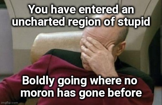 Captain Picard Facepalm Meme | You have entered an uncharted region of stupid Boldly going where no 
moron has gone before | image tagged in memes,captain picard facepalm | made w/ Imgflip meme maker