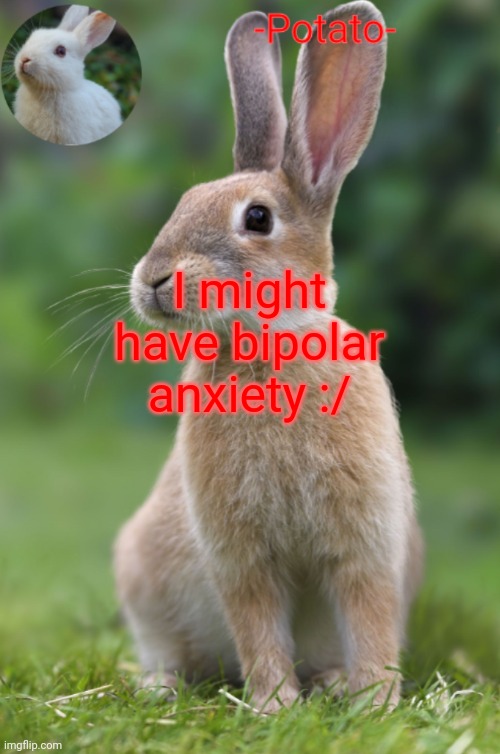 -Potato- rabbit announcement | I might have bipolar anxiety :/ | image tagged in -potato- rabbit announcement | made w/ Imgflip meme maker